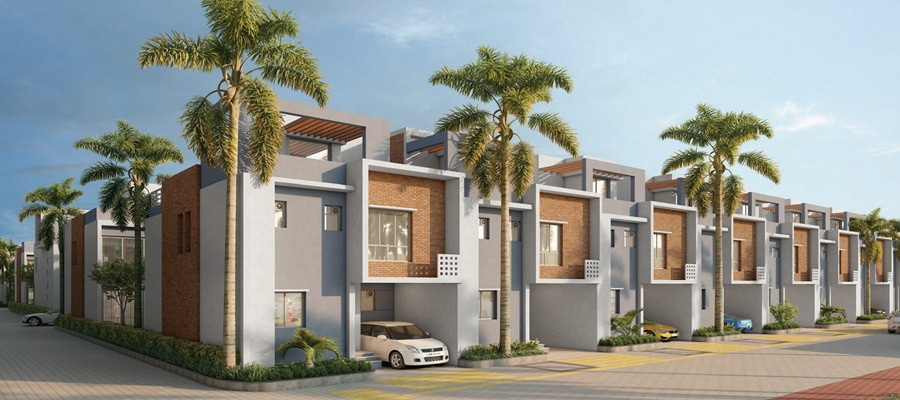 DTC Palm Grove, Joka